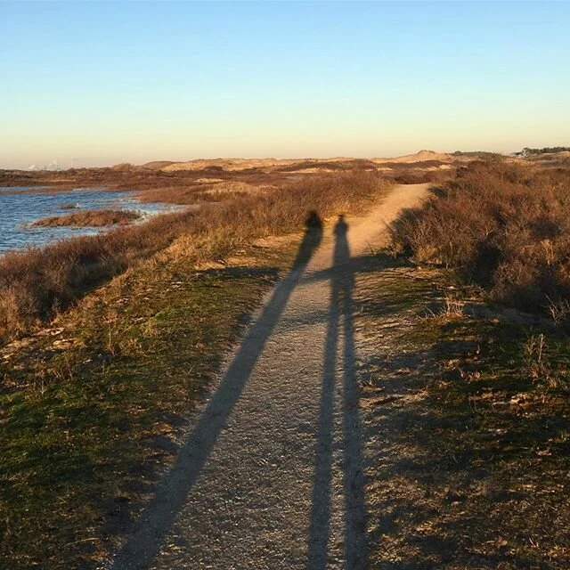 Sunset on the dunes near the sea. Back in the Netherlands for New Years.