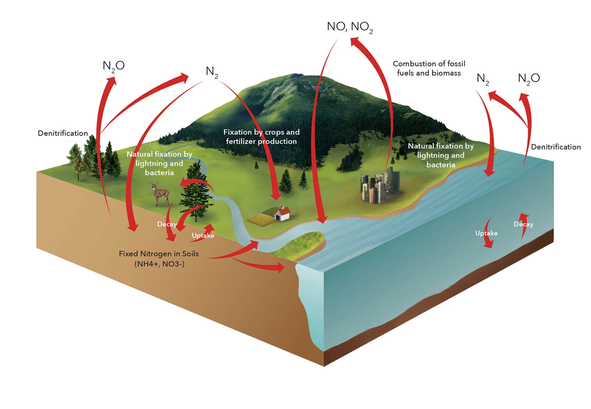 Weather + Climate textbook