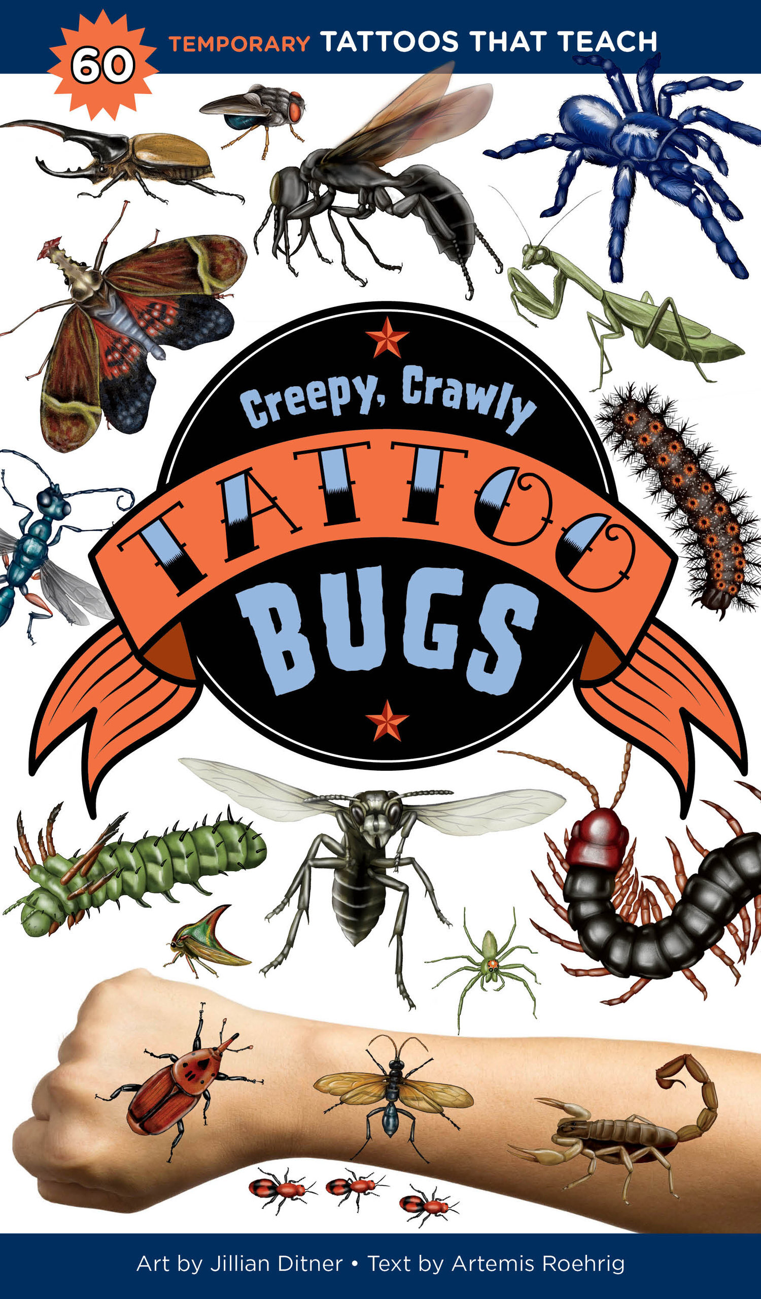 @Jillian+Ditner+Illustration+Creepy,+Crawly+Tattoo+Bugs.jpg