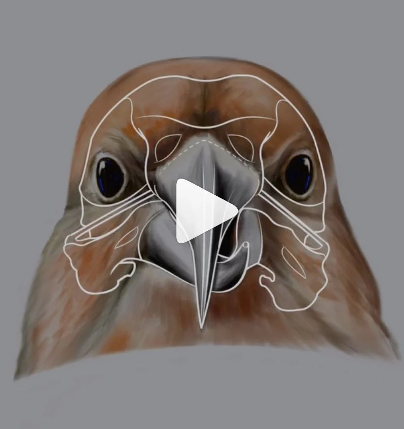 instagram.com/p/DQm1P6wle8c/?img_index=5 