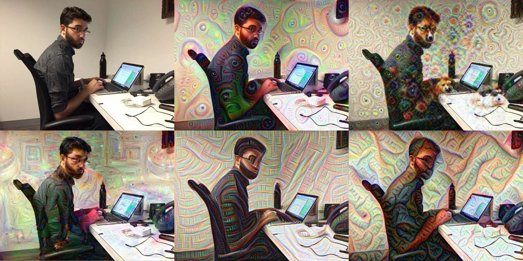 dave_collage.jpg