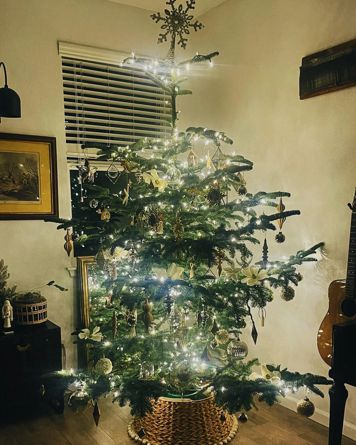 30% off Christmas trees! 

If you know someone who will be without a Christmas tree and you think would really like one, come talk to us about it being a gift for them.