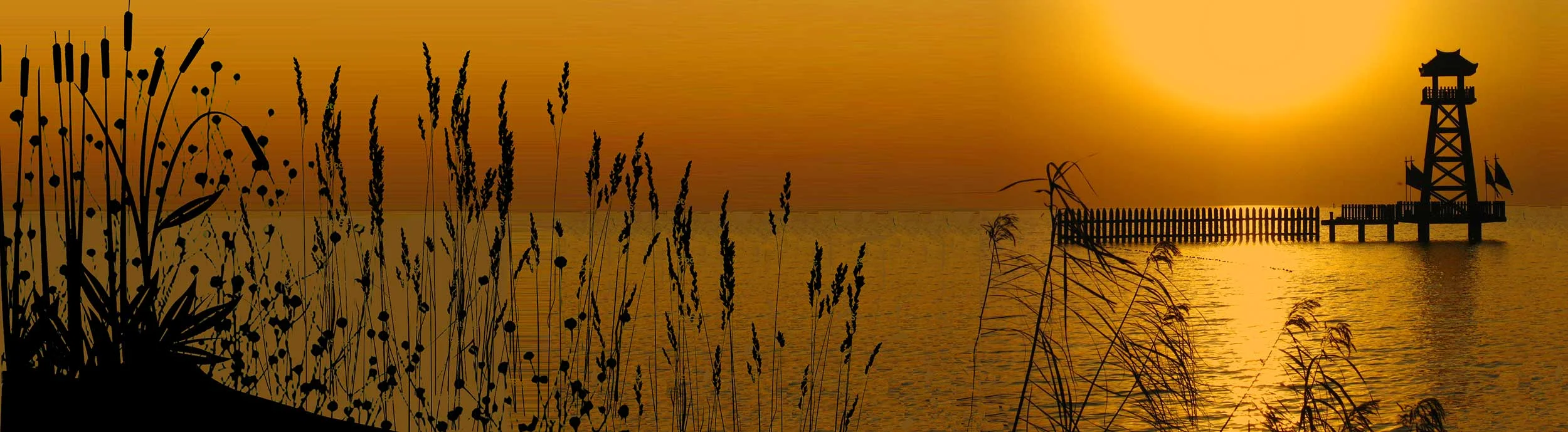 gold-sea-ajjoelle-0158-2500px.jpg