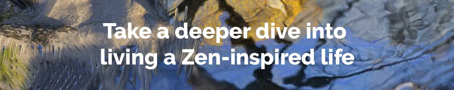 zen-mentoring.jpg