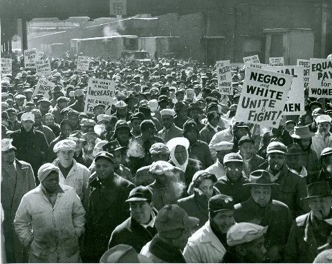 Stockyard Unite and Fight.jpg