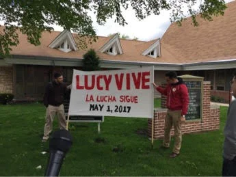 lucy1.jpg