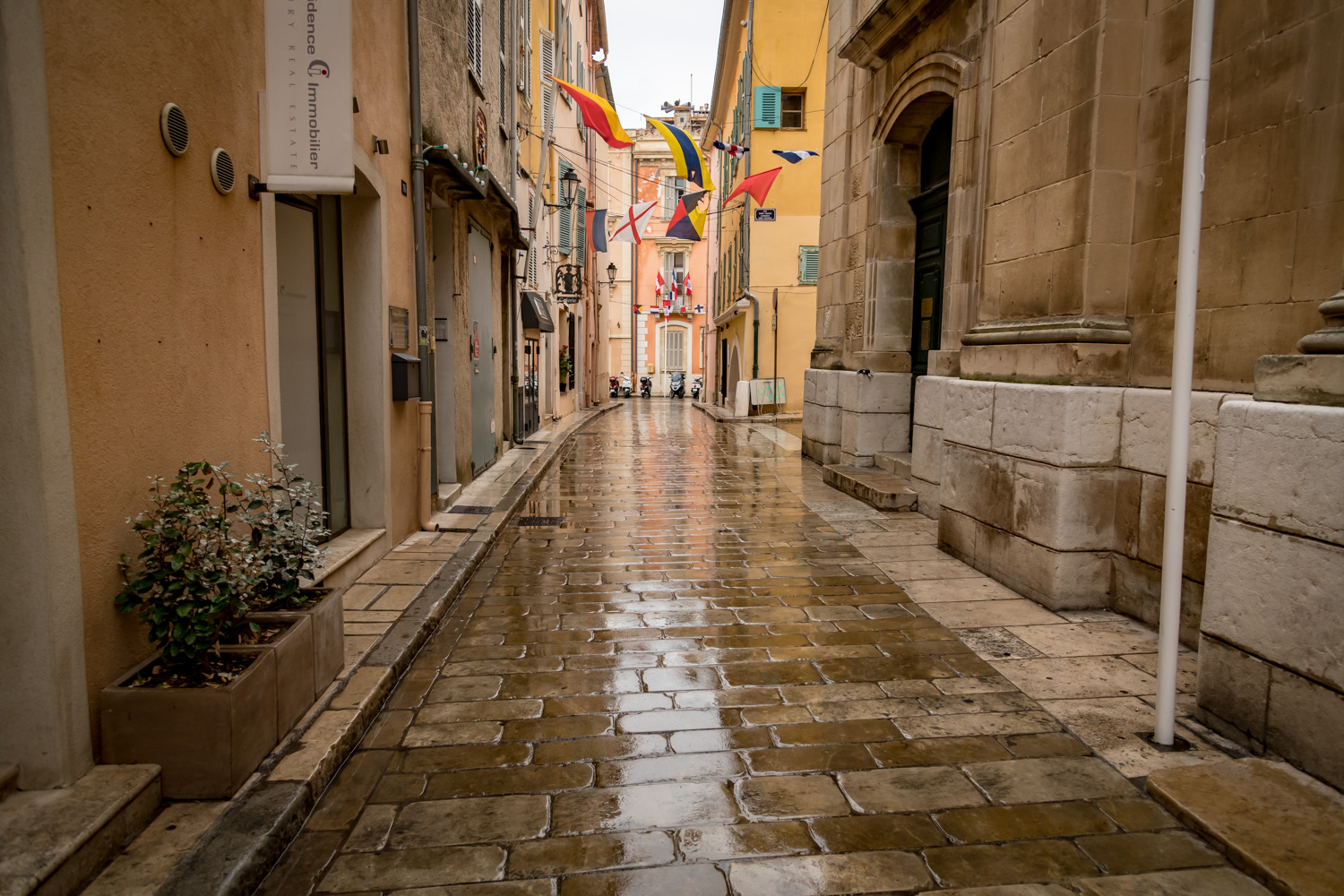 AnthonyBianciella-ZOOM ImageWorks-64.jpg