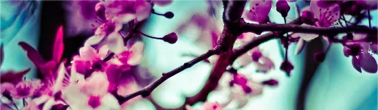 spring blooms.jpeg
