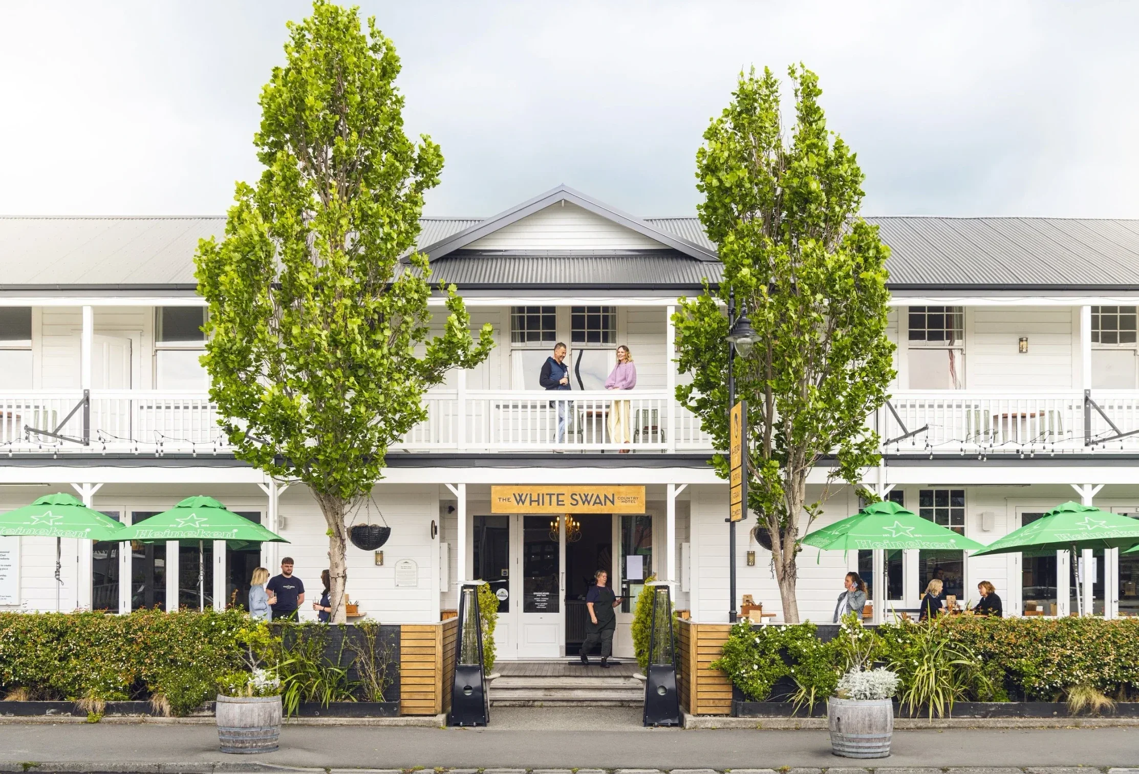 White Swan Greytown.webp