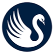 The White Swan