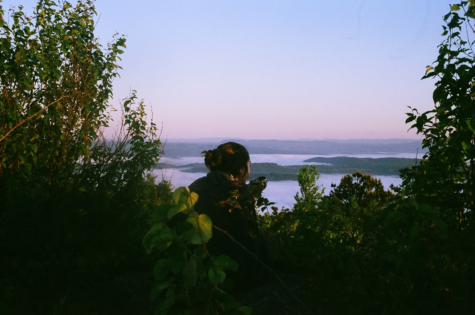 Baden-Lopes_Nature2.JPG