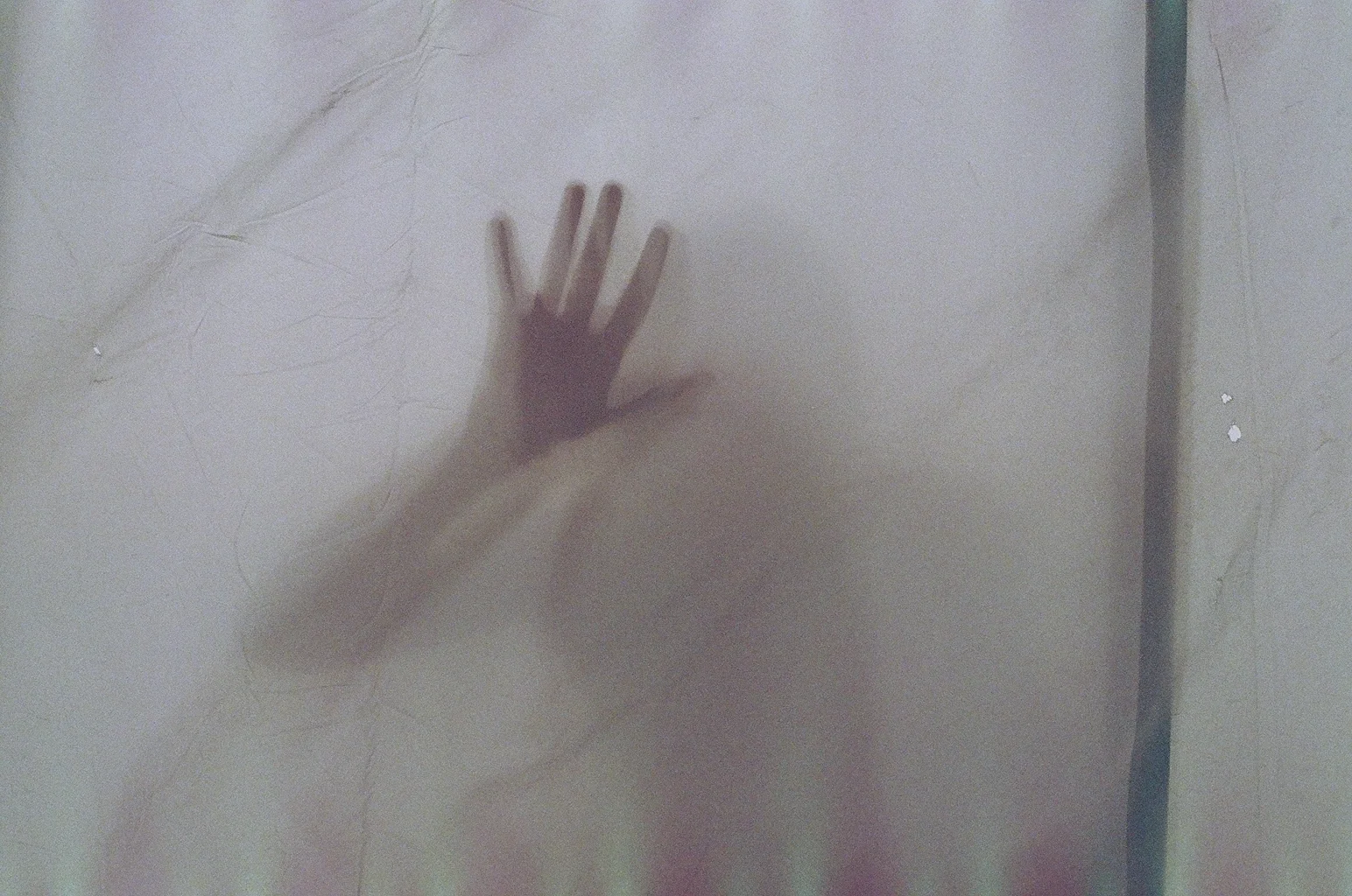 25580010.JPG