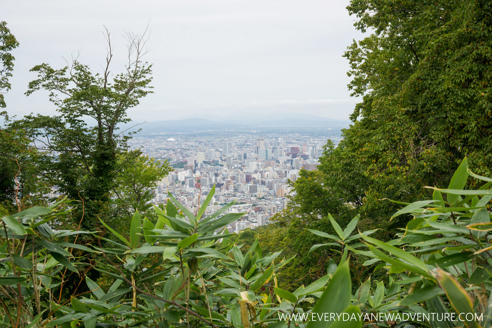 [Squarespace1500-056] Sapporo-09961.jpg