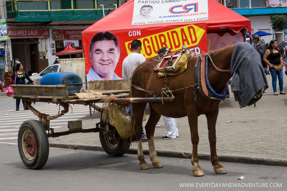 [SqSp1500-026] Medellin-04209.jpg