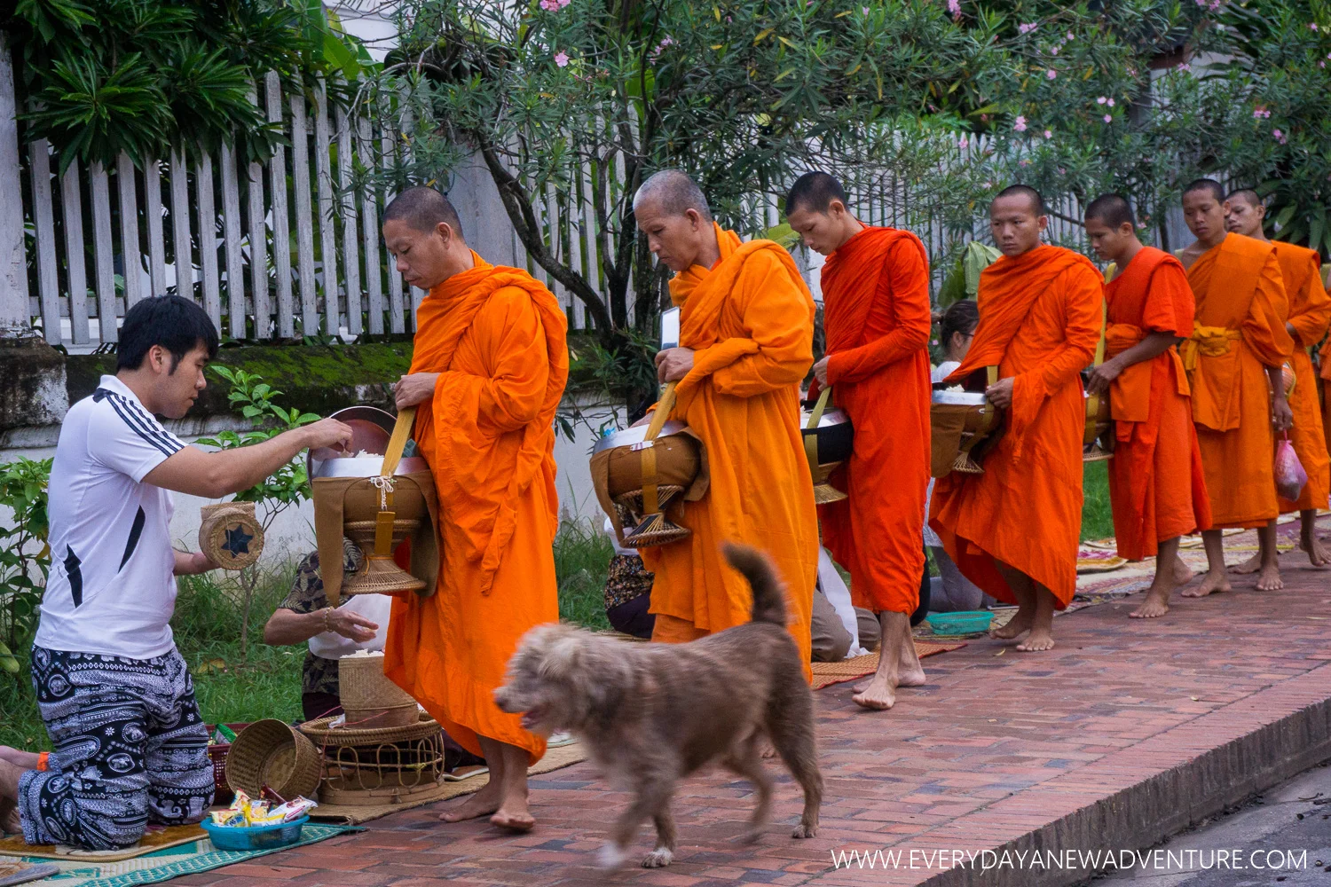 Morning Alms Ceremony