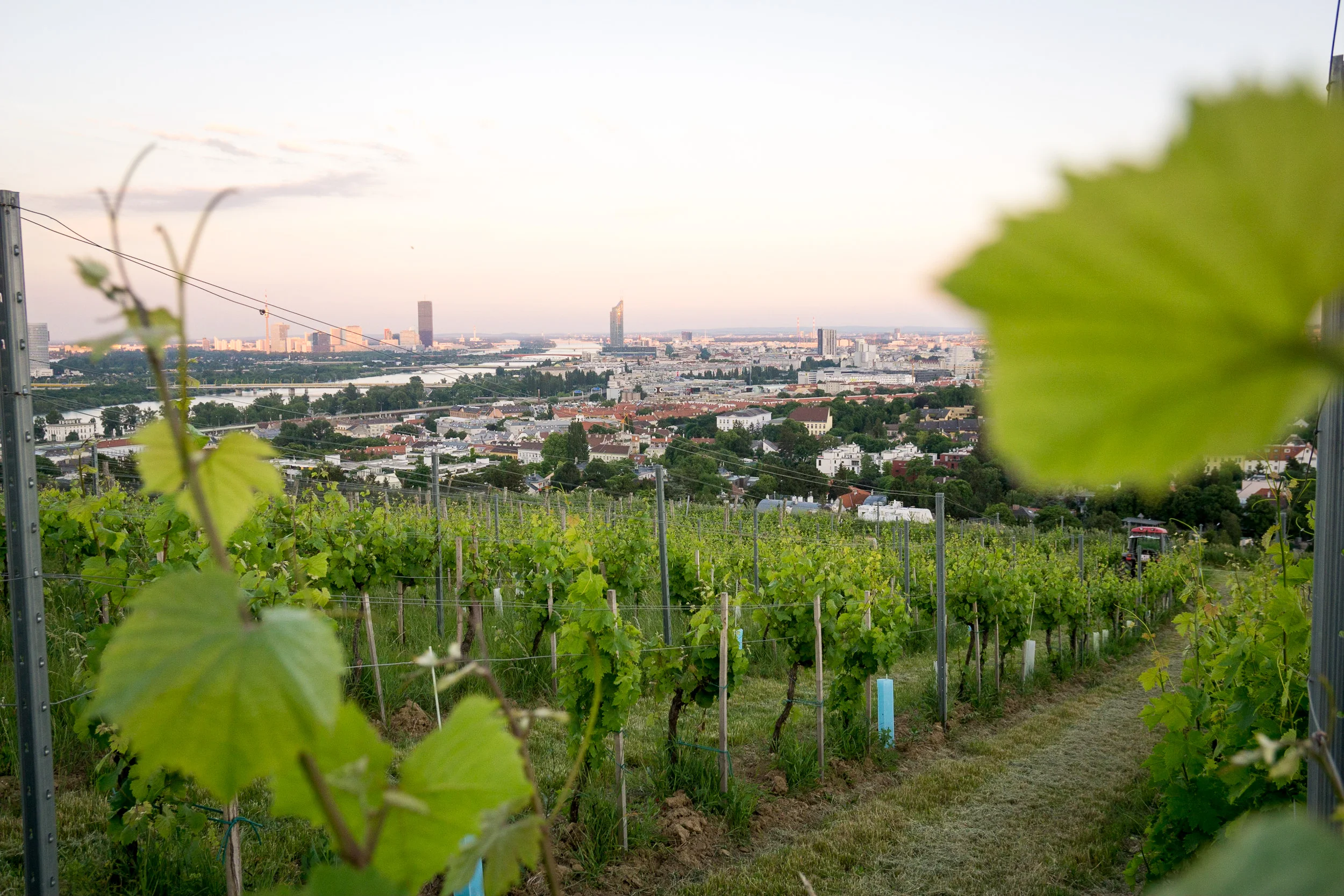 Vienna, Austria - Coffee + Ice Cream + Wine = One Happy Noelle