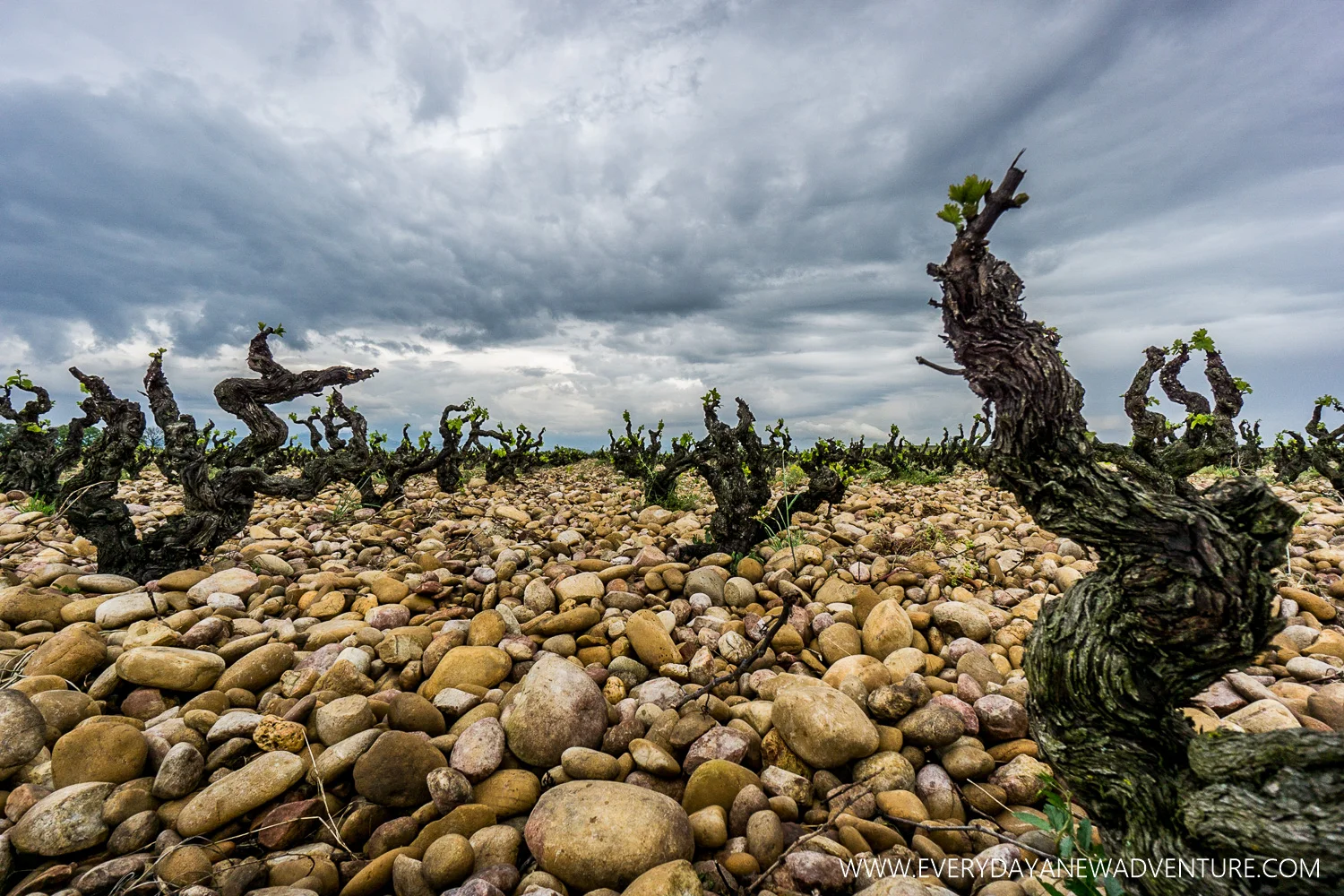 The Famous Rocks of Chataeuneuf du Pape