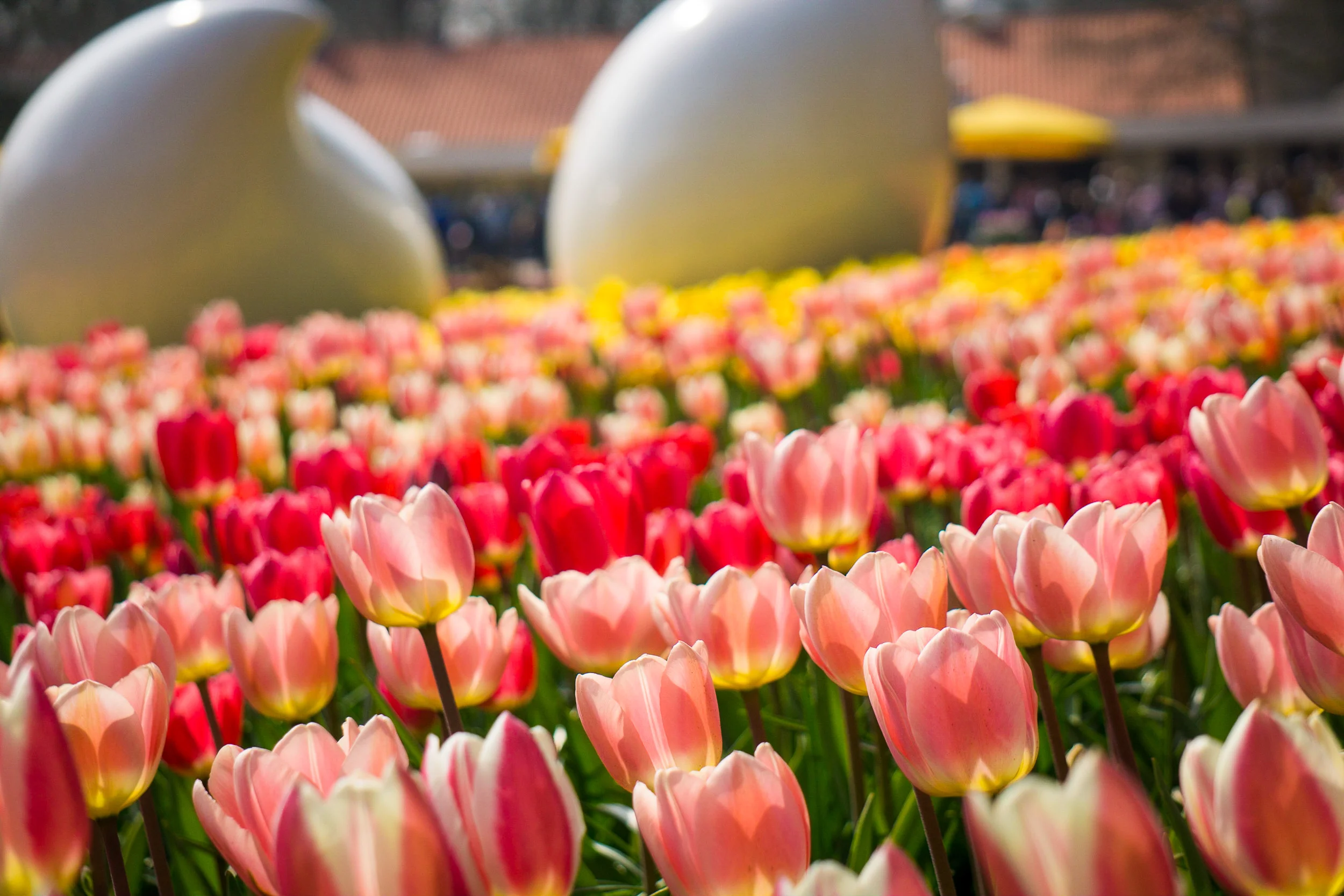 Amsterdam, The Netherlands - An Adult Playground