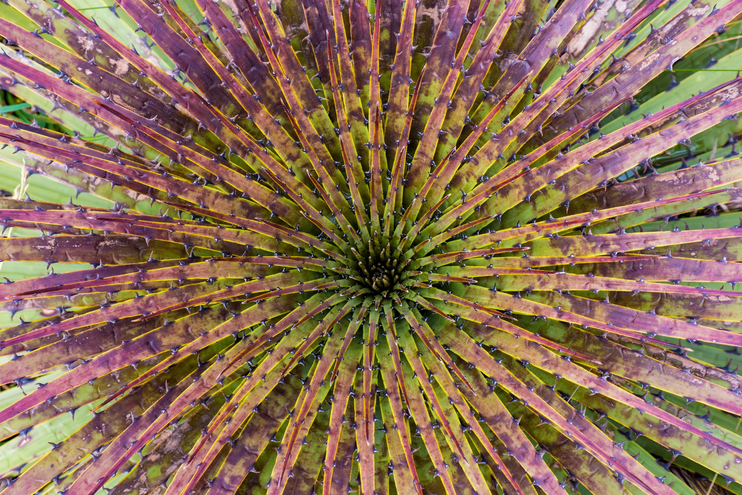 Quito, Quilatoa, & Cuenca, Ecuador - The First Time We Ever Felt Unsafe on Our RTW Trip