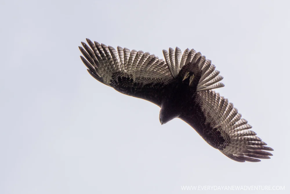 [SqSp1500-058] Cuenca-04610.jpg