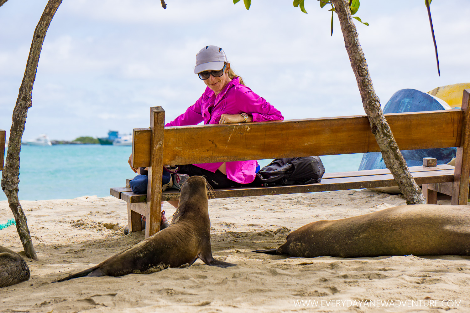 Noelle having a deep conversation with the sea lion pup.