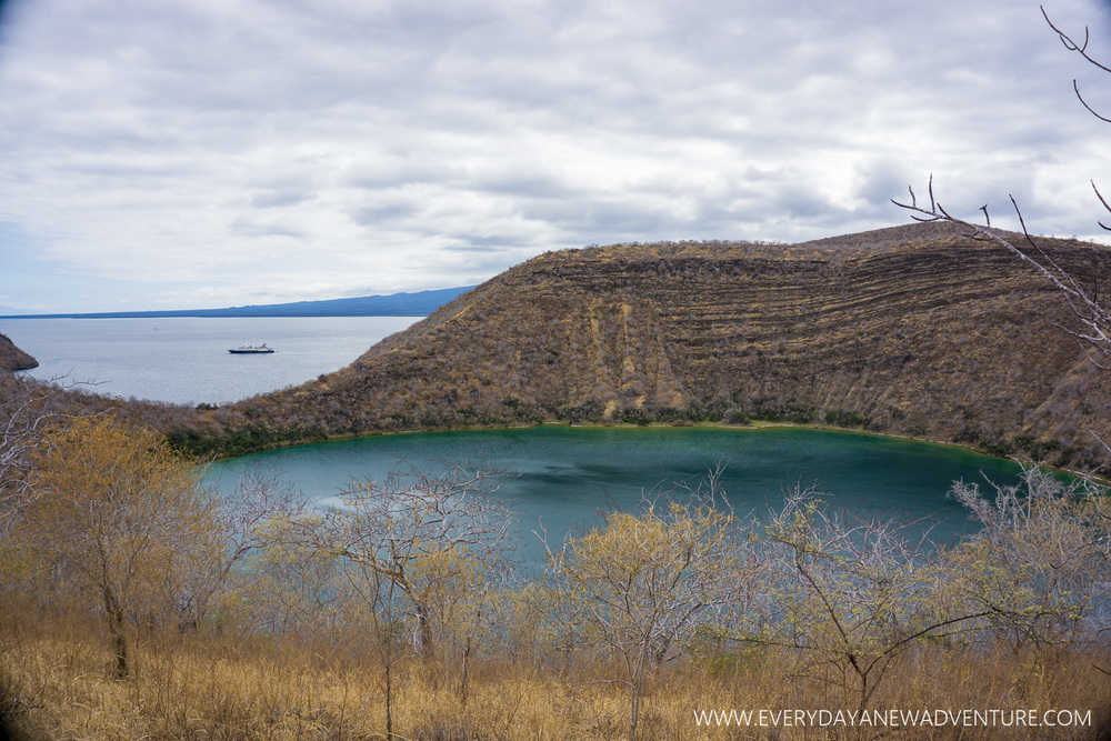 [SqSpGallery-021] Galapagos-645.jpg