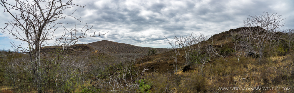 [SqSpGallery-022] Galapagos-659-Pano.jpg