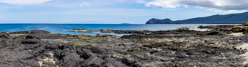 [SqSpGallery-043] Galapagos-1370-Pano.jpg