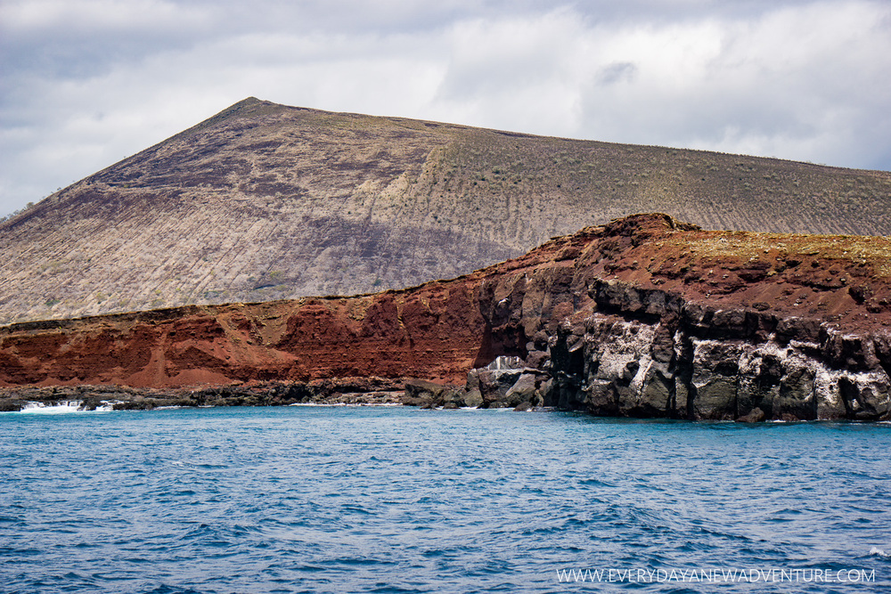 [SqSpGallery-047] Galapagos-1421.jpg