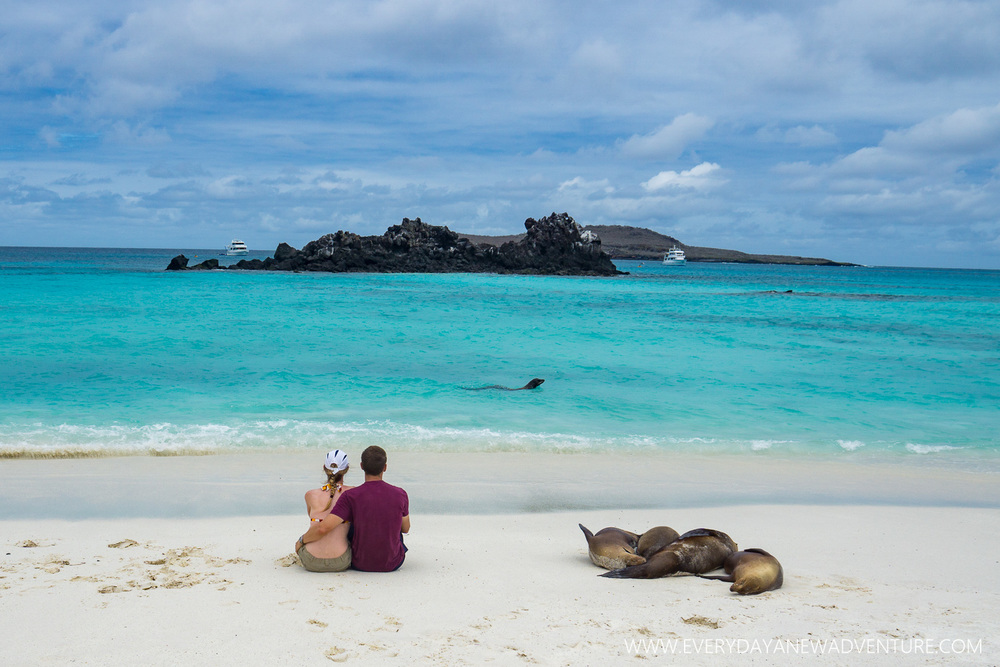 [SqSpGallery-116] Galapagos-3031.jpg