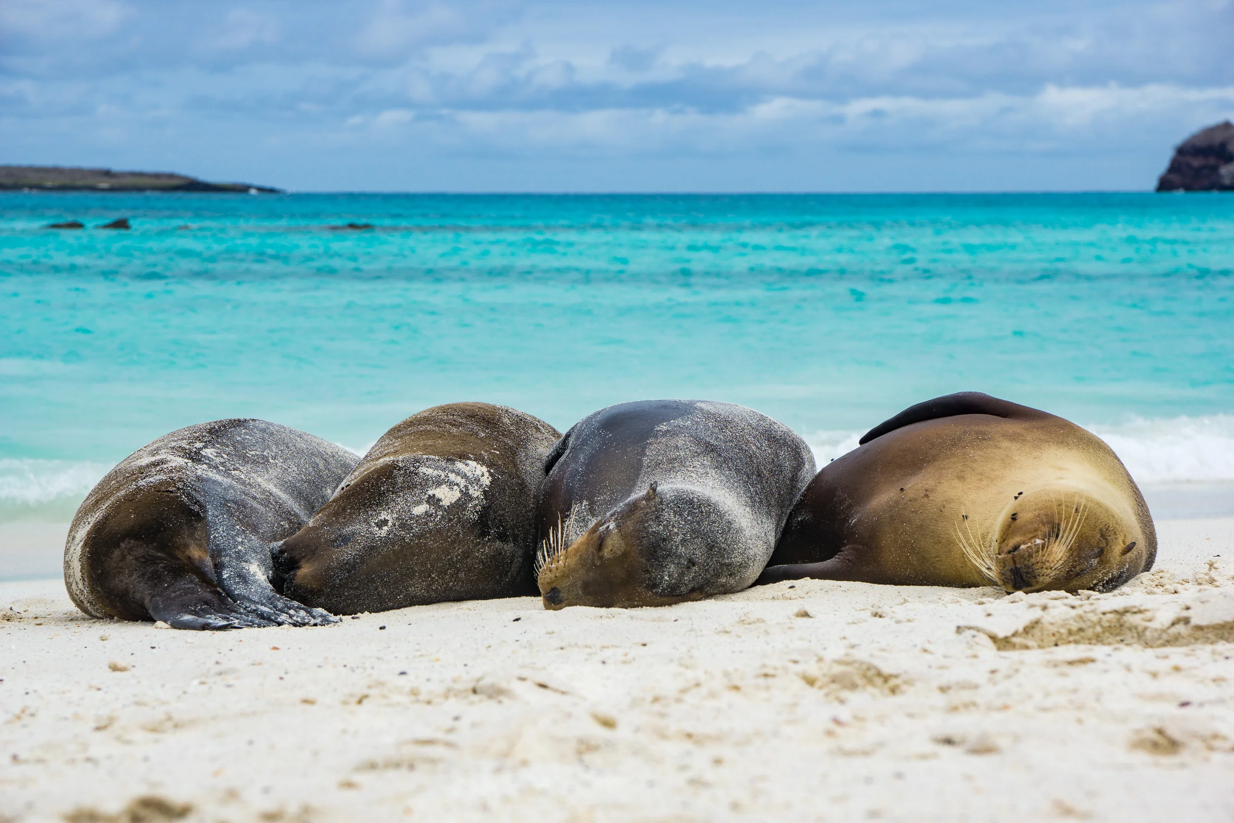 The Galapagos Islands, Ecuador - A Week of Snorkeling with Sea Lions and Yelling at a Travel Agent