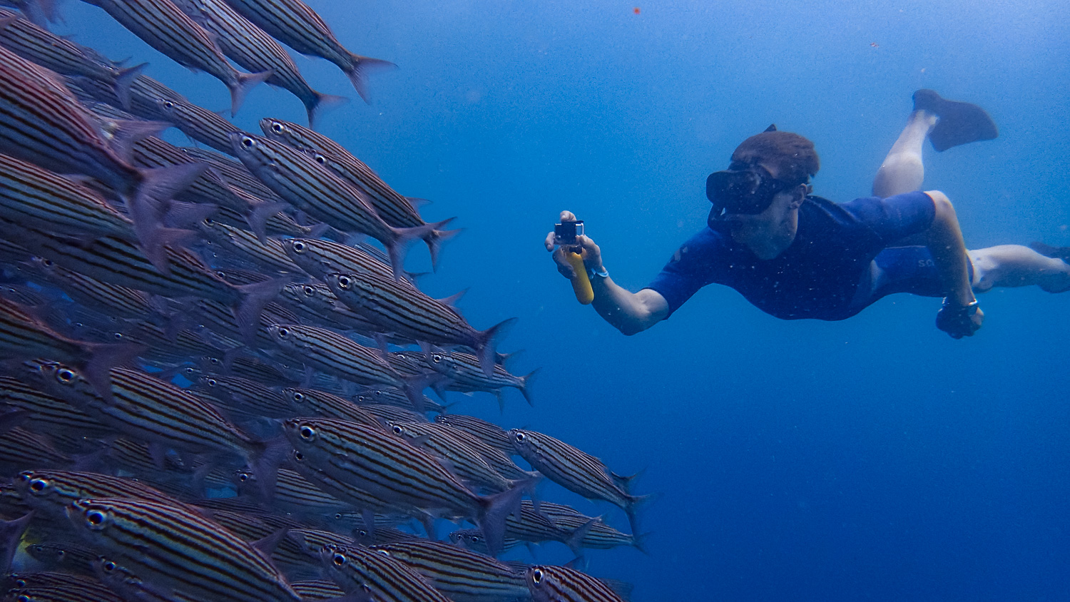 Jake checking out a school of fish. (Photo courtesy of Victor)