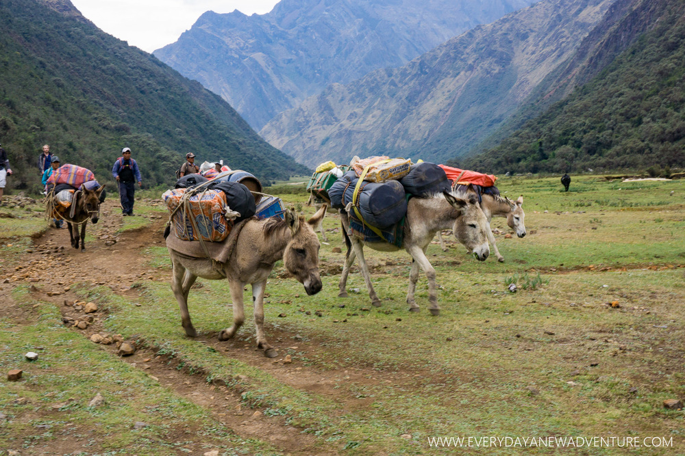 [SqSp Blog-021] Huaraz-05483.jpg