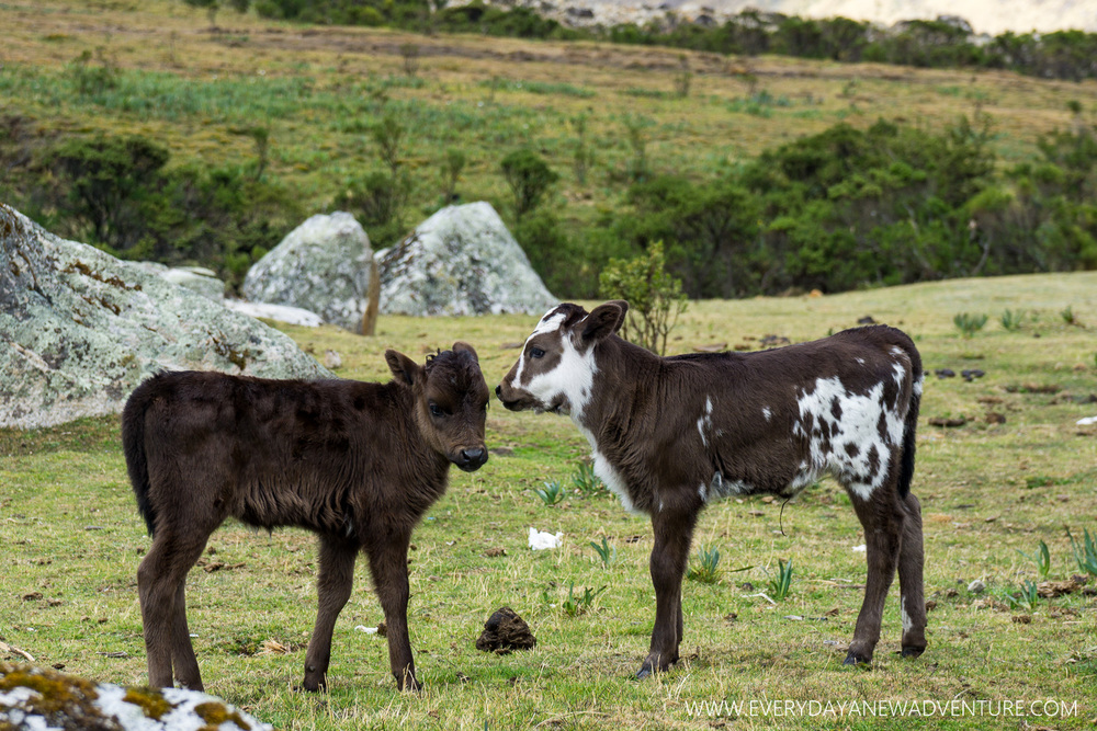 [SqSp Blog-046] Huaraz-08035.jpg