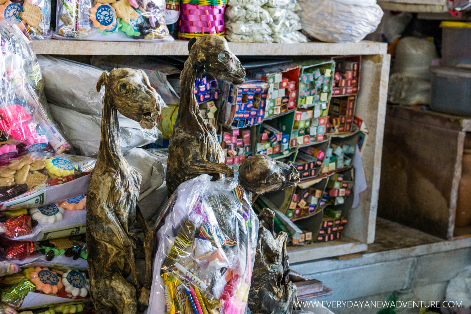 Dried llama fetuses at the market.