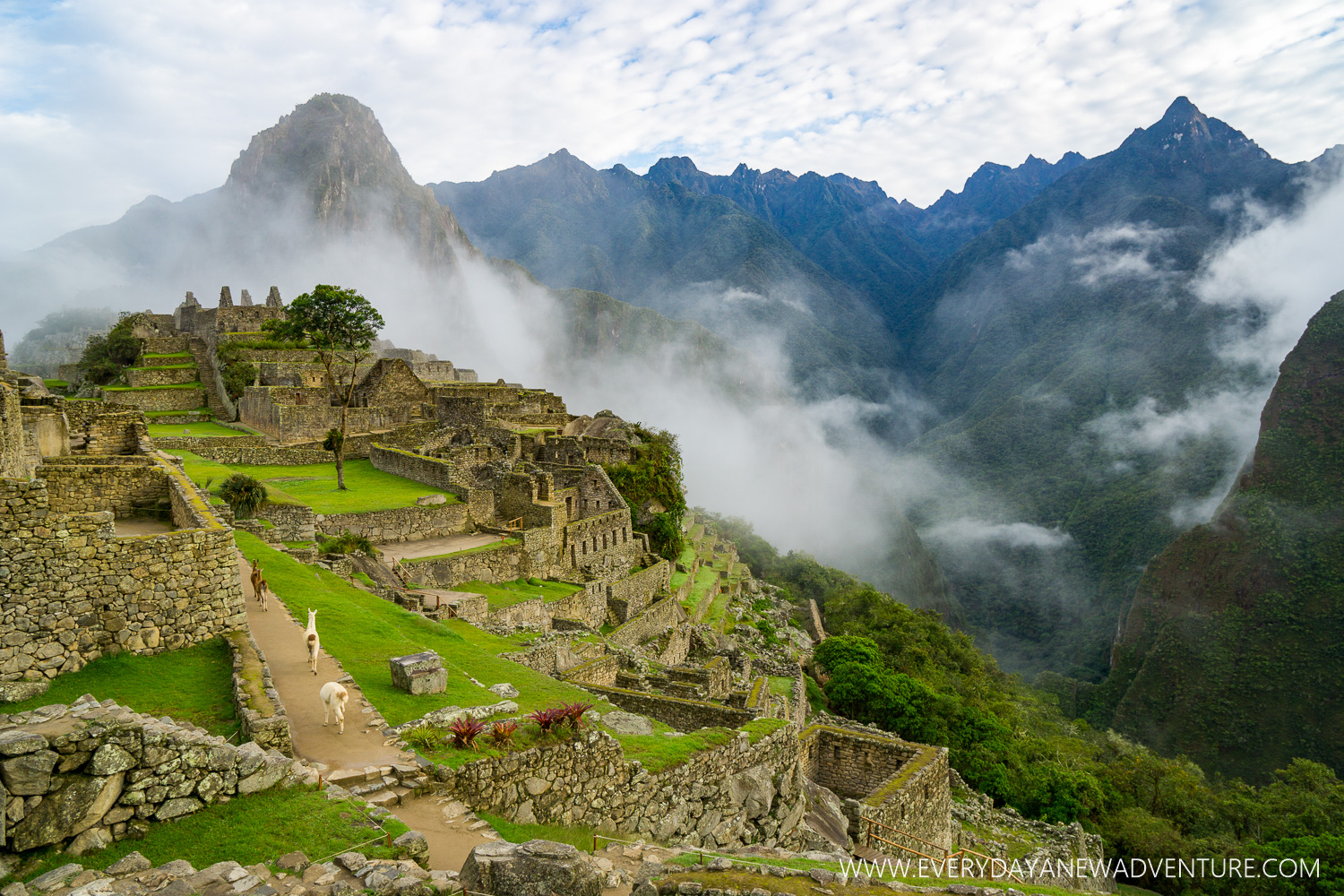Machu Picchu!