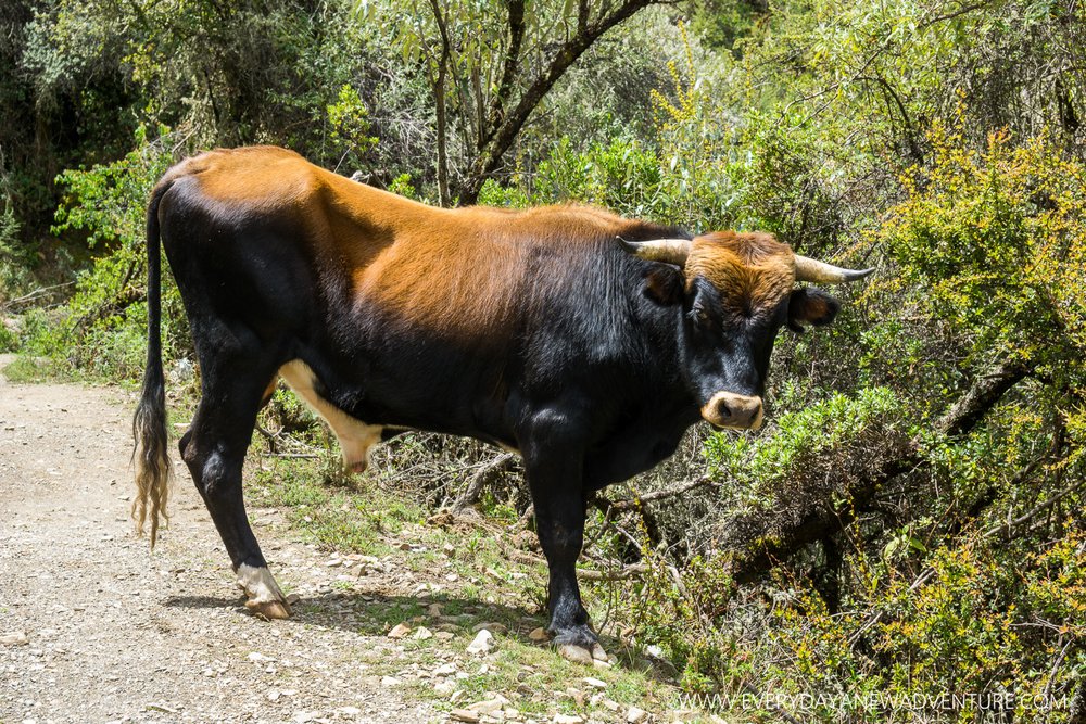 [SqSp Blog-012] Cusco-08808.jpg