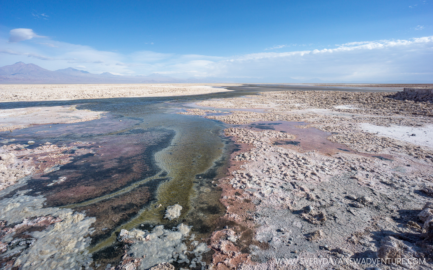 The Salt Flats