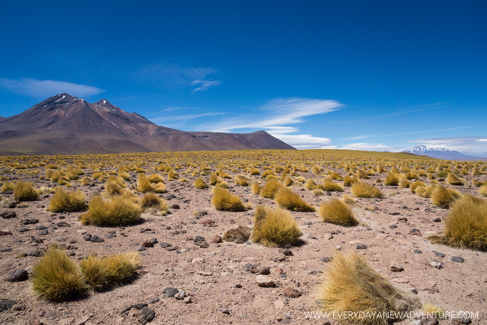 [SqSp Blog-013] San Pedro de Atacama-01396.jpg