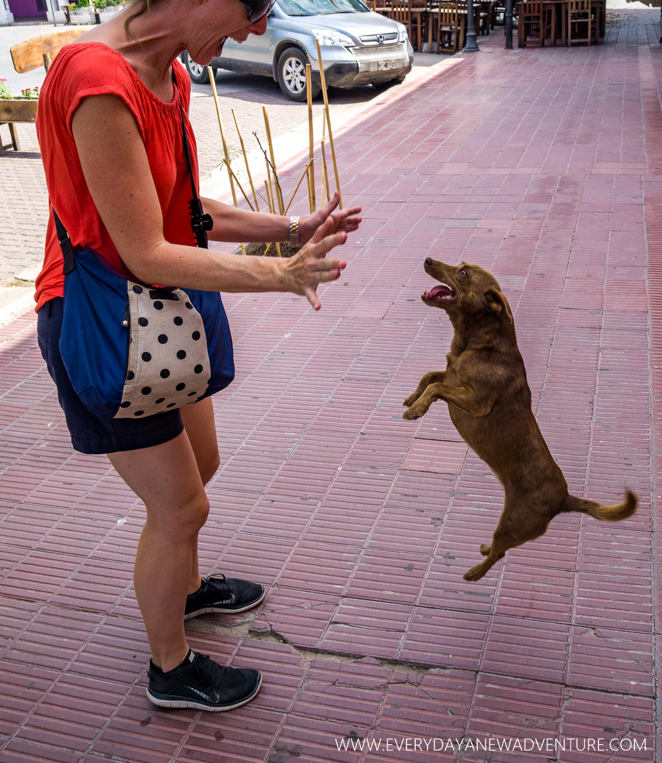Noelle made a very excited friend!