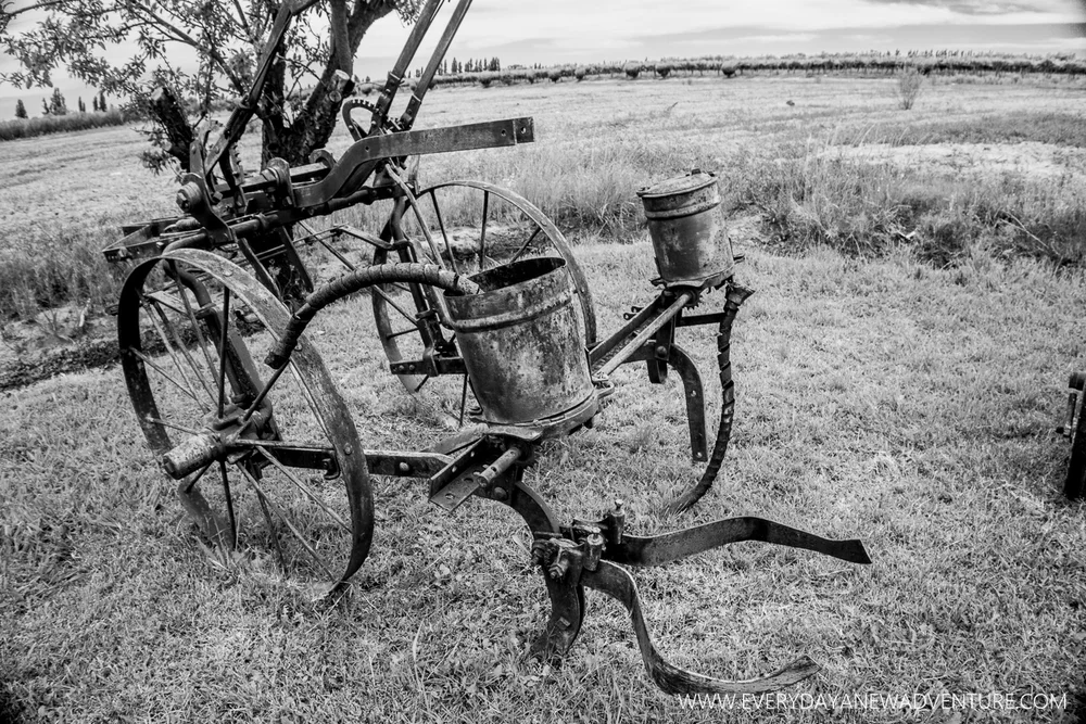 [SqSp Blog-039] Mendoza-06813.jpg