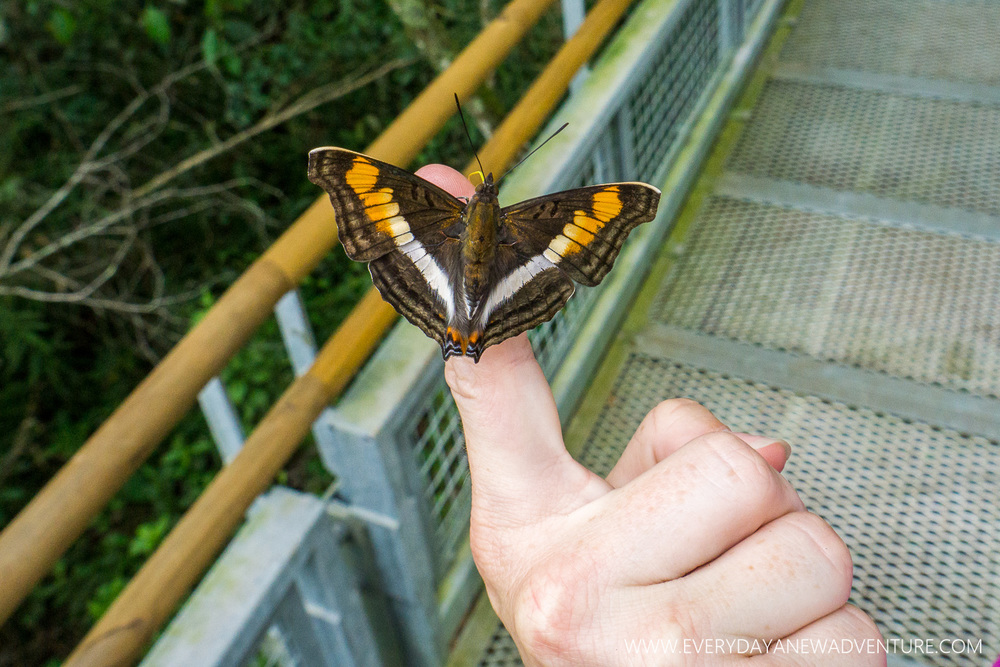 [SqSp Blog-057] Iguazu Falls-06779.jpg