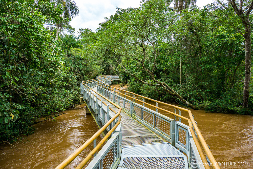 [SqSp Blog-058] Iguazu Falls-06781.jpg