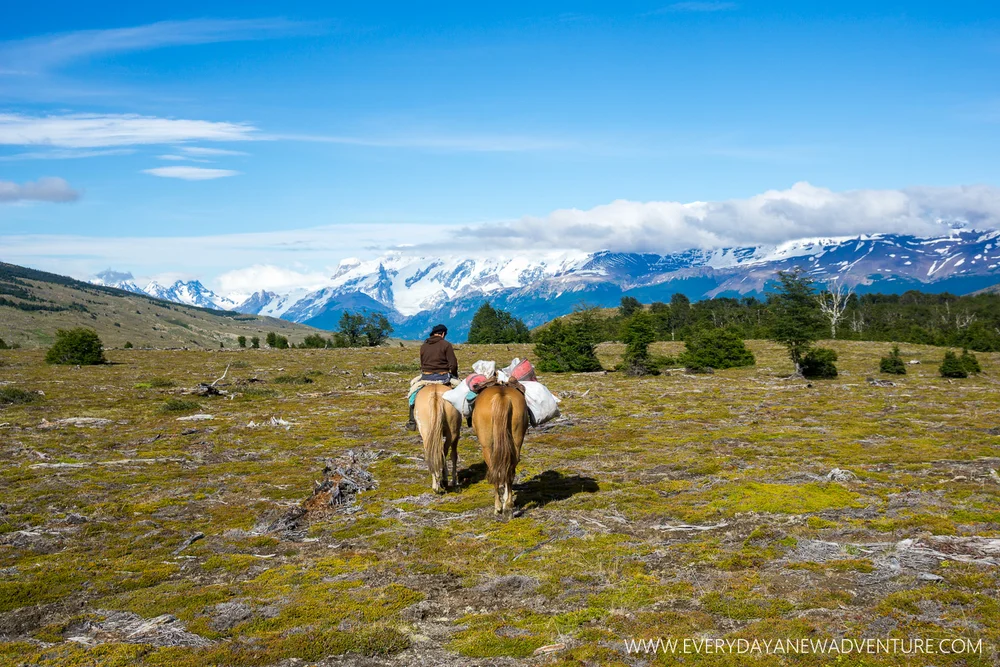 [SqSp Blog-037] Nibepo Aike-09259.jpg