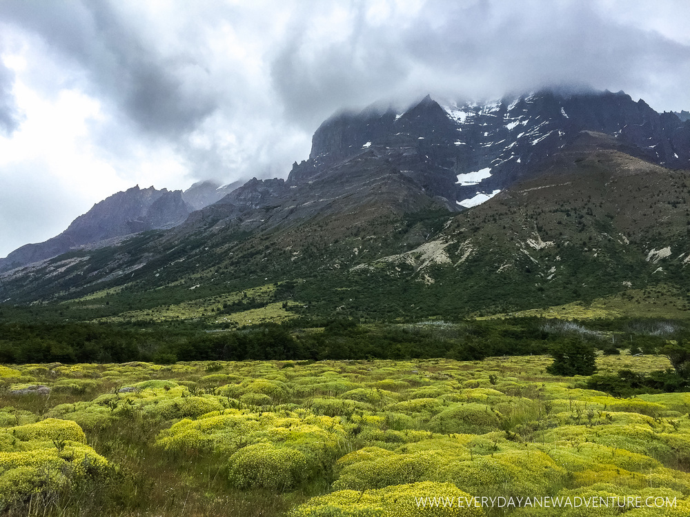 [SqSp Blog-014] Torres del Paine-7684.jpg