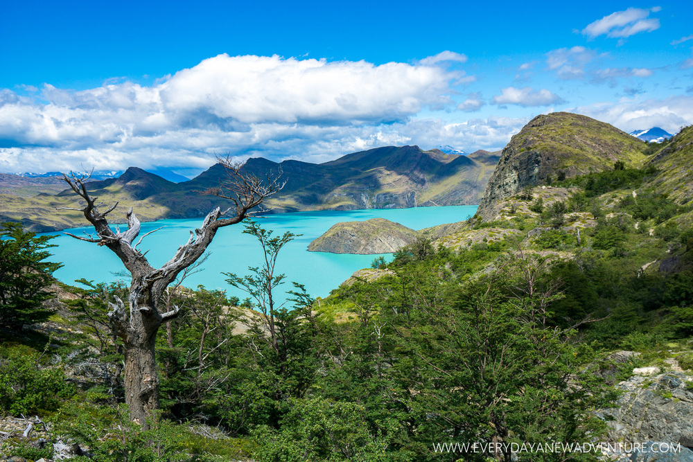 [SqSp Blog-023] Torres del Paine-03898.jpg