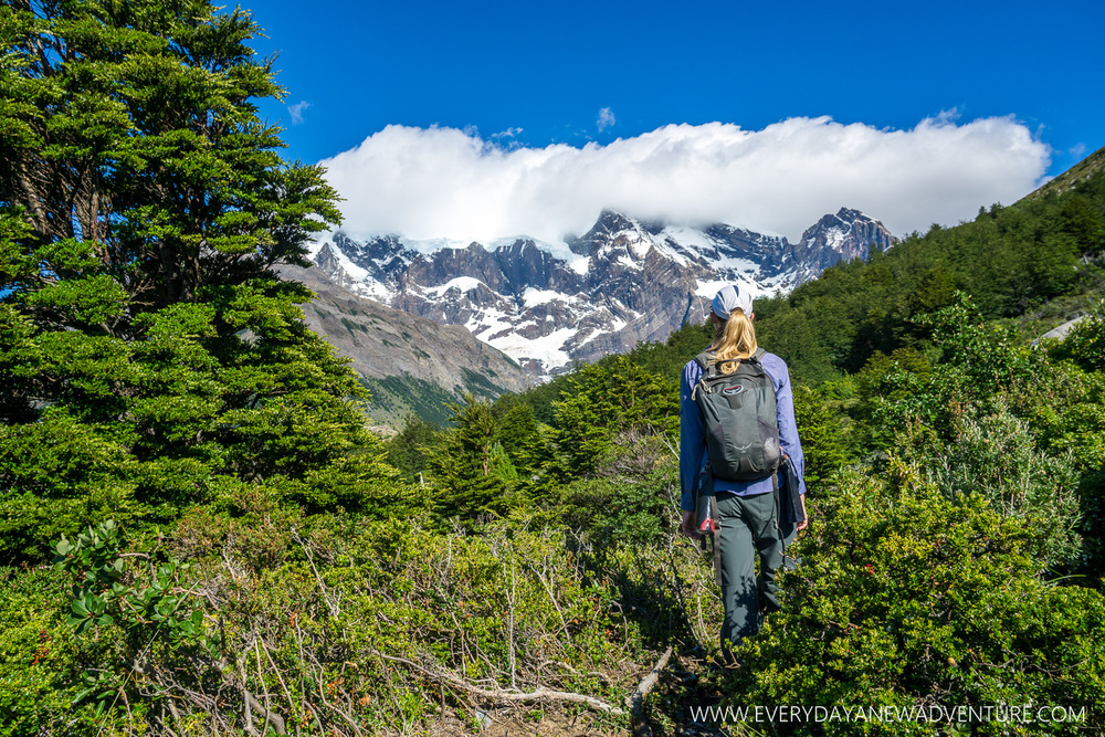 [SqSp Blog-026] Torres del Paine-04432.jpg