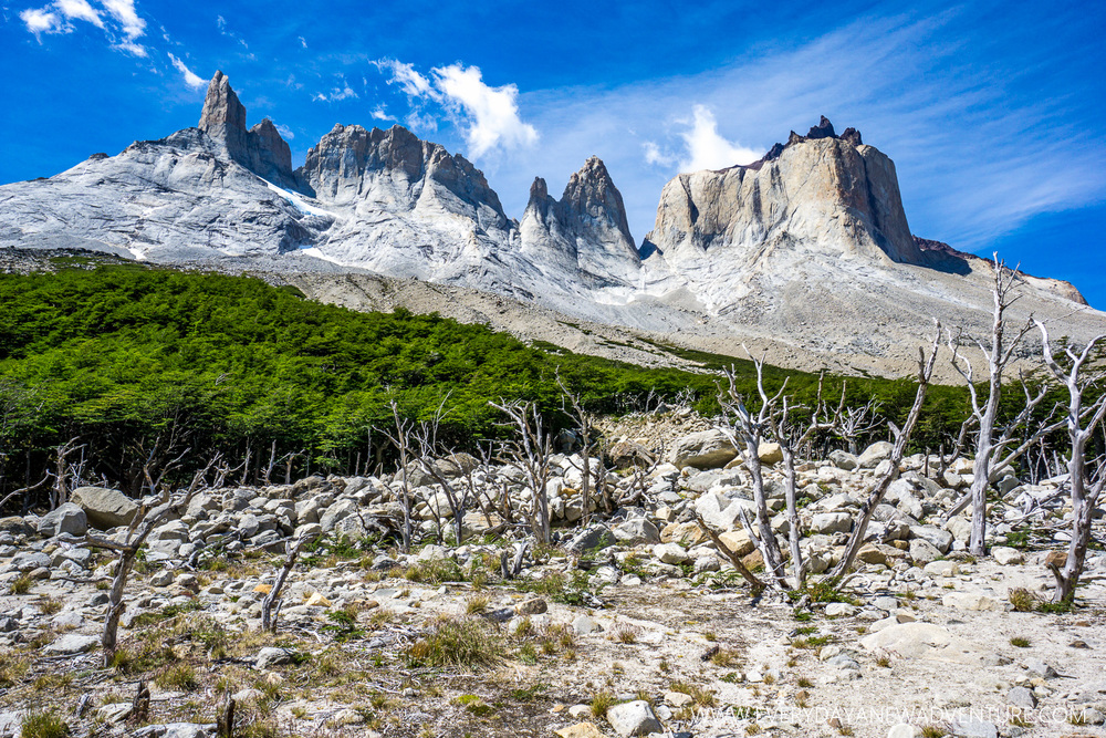 [SqSp Blog-031] Torres del Paine-04588.jpg