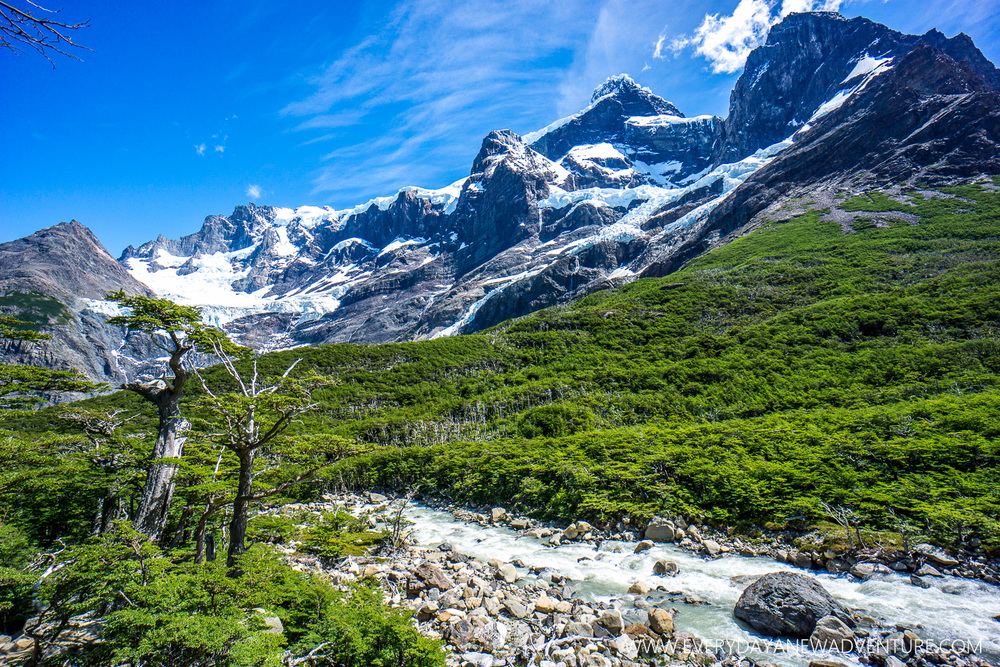 [SqSp Blog-033] Torres del Paine-04635.jpg