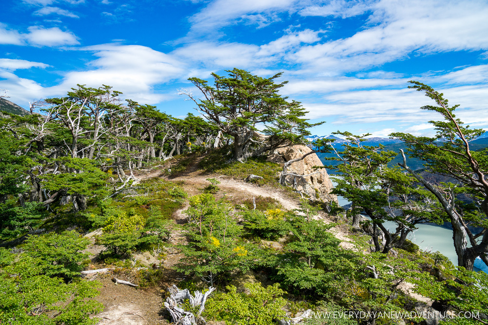 [SqSp Blog-059] Torres del Paine-05389.jpg